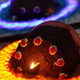 Illustration for article titled Now Youre Baking With emPortal/ems